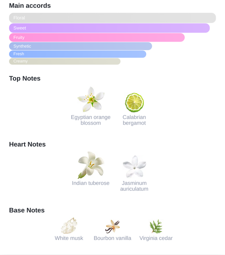 Arabian Nights 500ml Air Freshener - The Soul of the Orient - Nifique